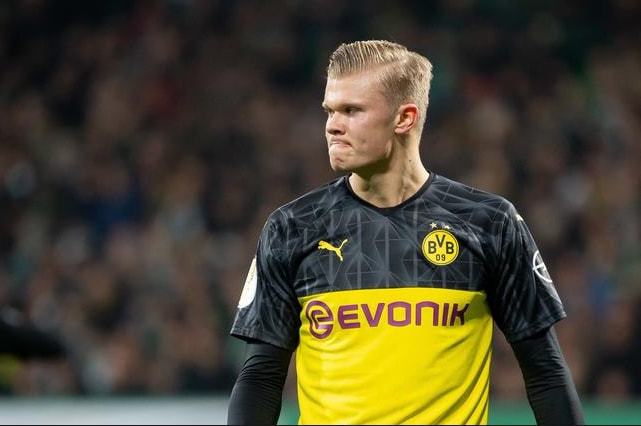 了解库普梅 了解库普梅